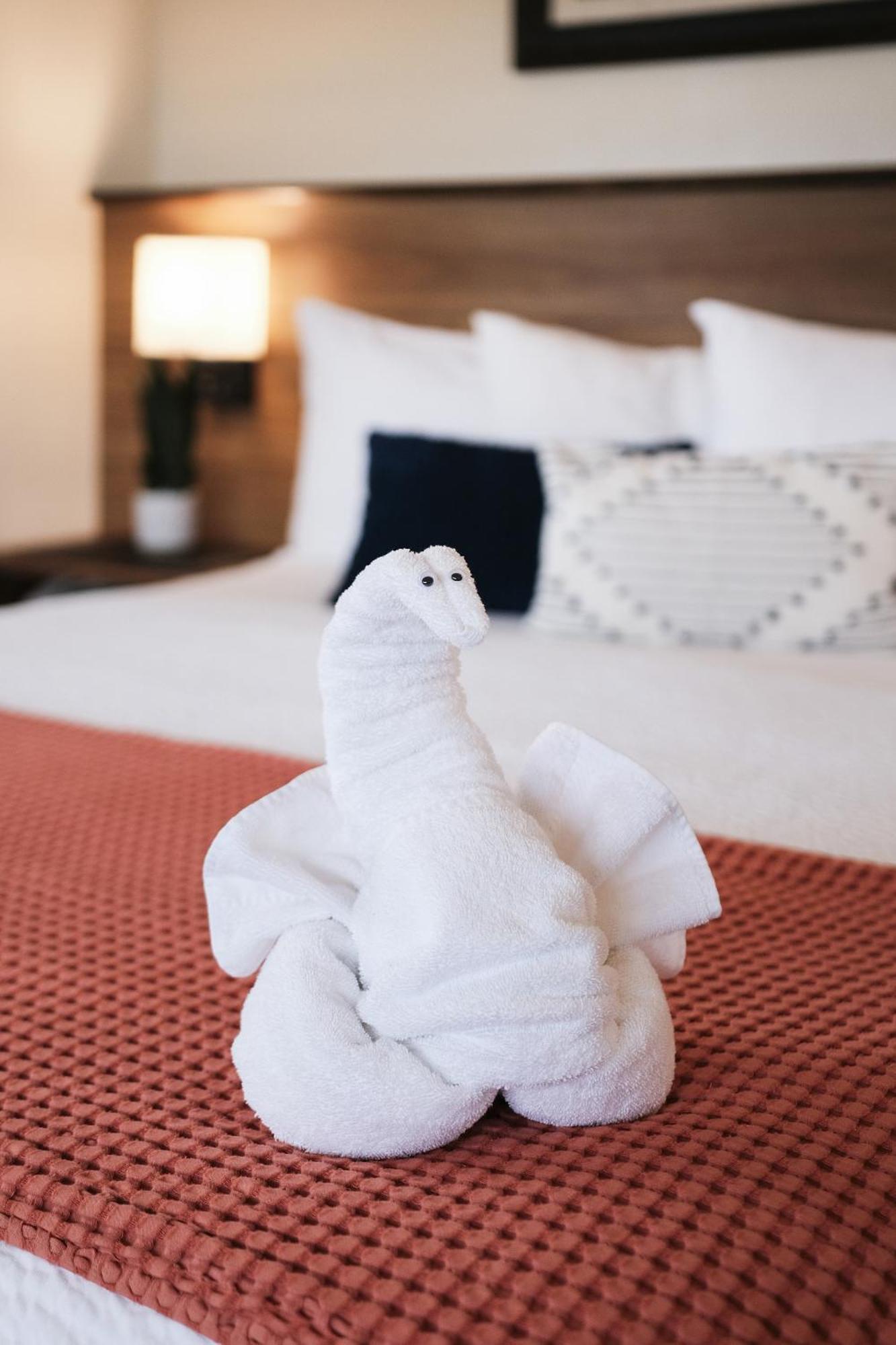 Hotel Estero
